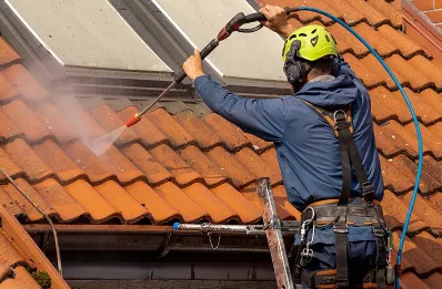Démoussage et hydrofuge de toiture à Chauray